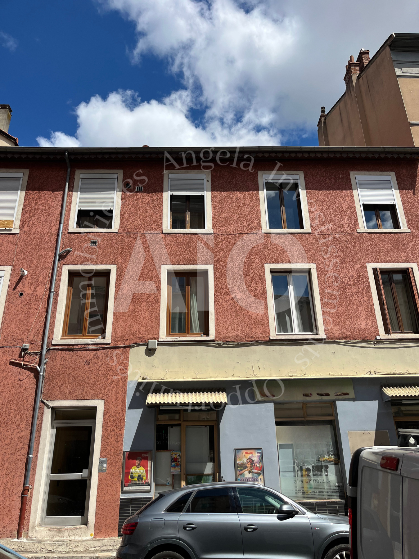 Bien immobilier à vendre à Lyon, 62 m², 4 pièces – photo 1 sur 15